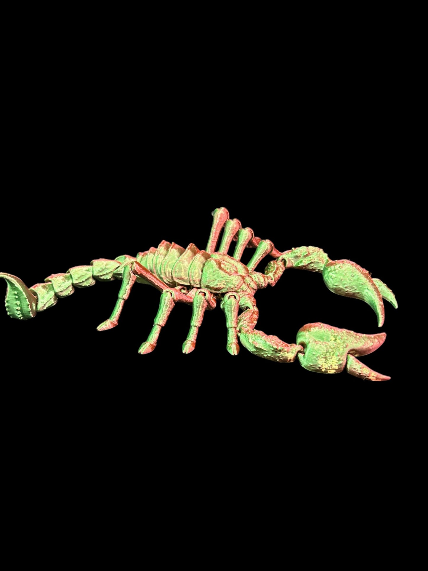 Emperor Scorpion Articulated