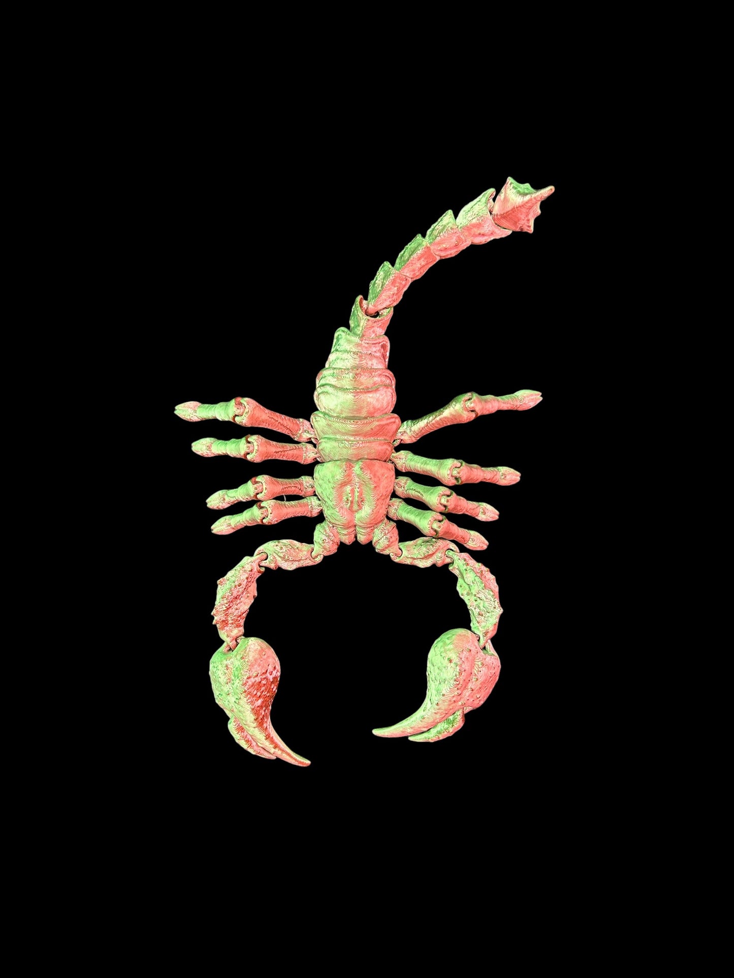 Emperor Scorpion Articulated