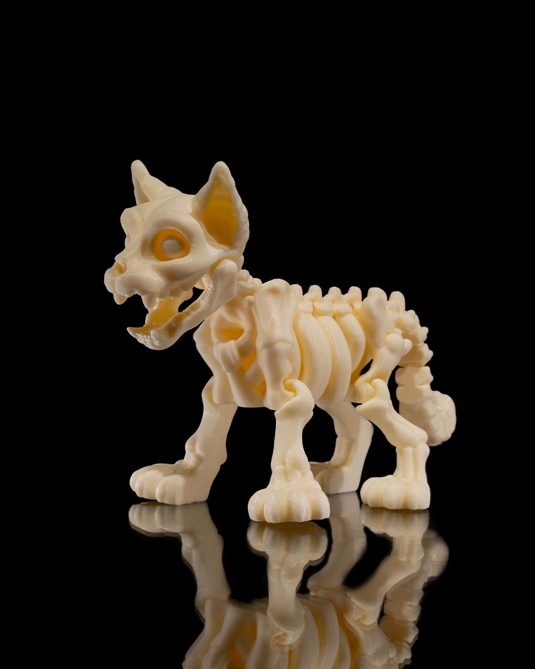 Articulating Skeleton Cat - Glow in the Dark!