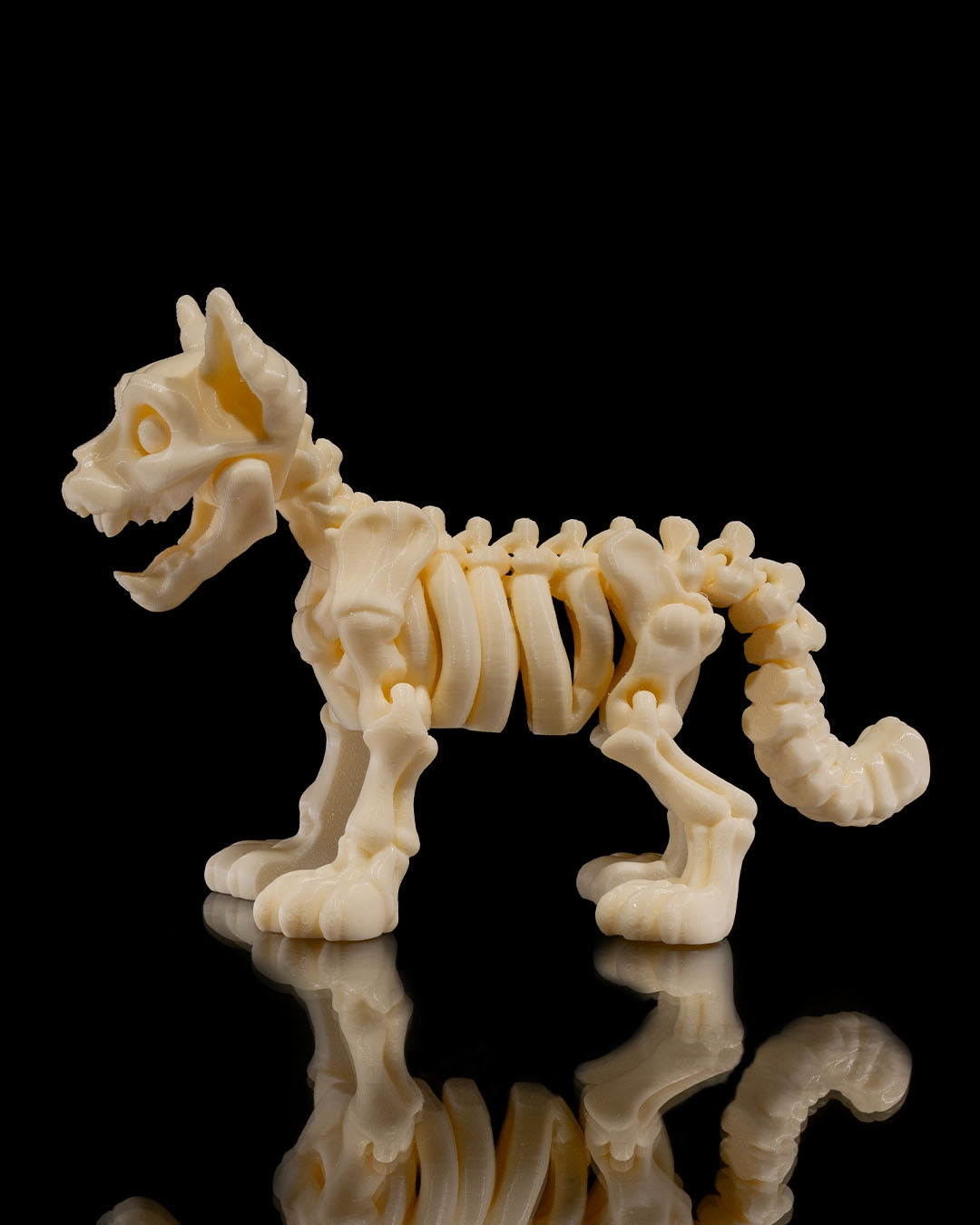 Articulating Skeleton Cat - Glow in the Dark!