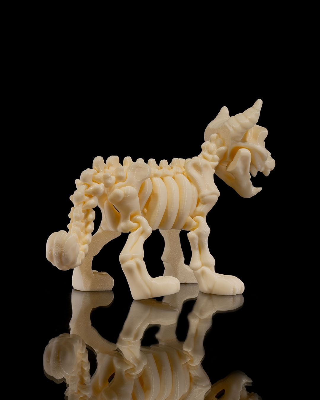 Articulating Skeleton Cat - Glow in the Dark!