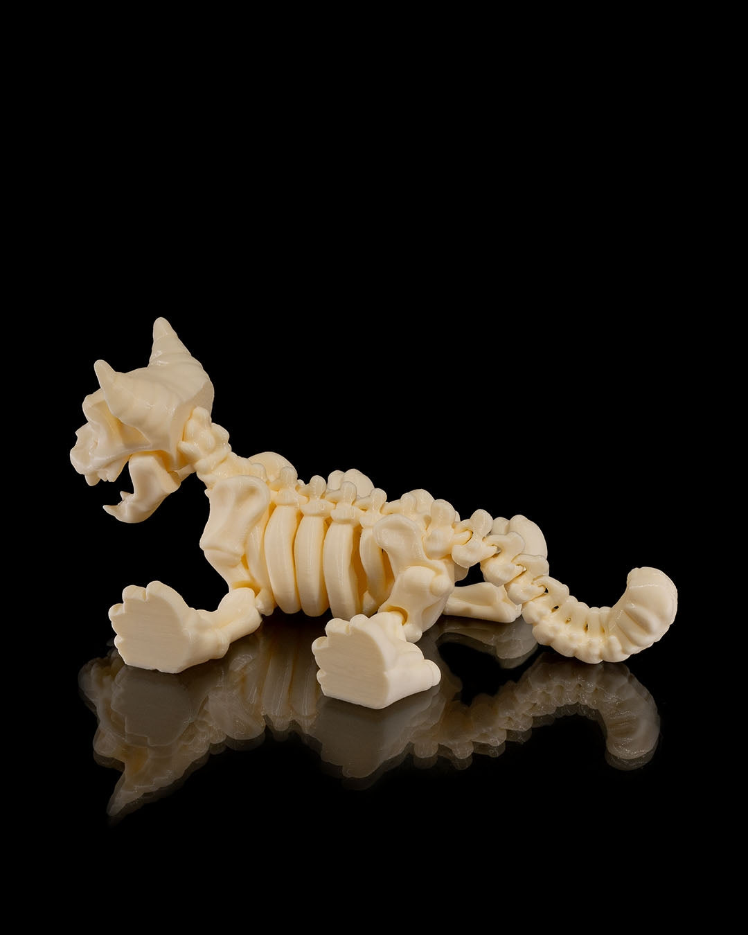 Articulating Skeleton Cat - Glow in the Dark!