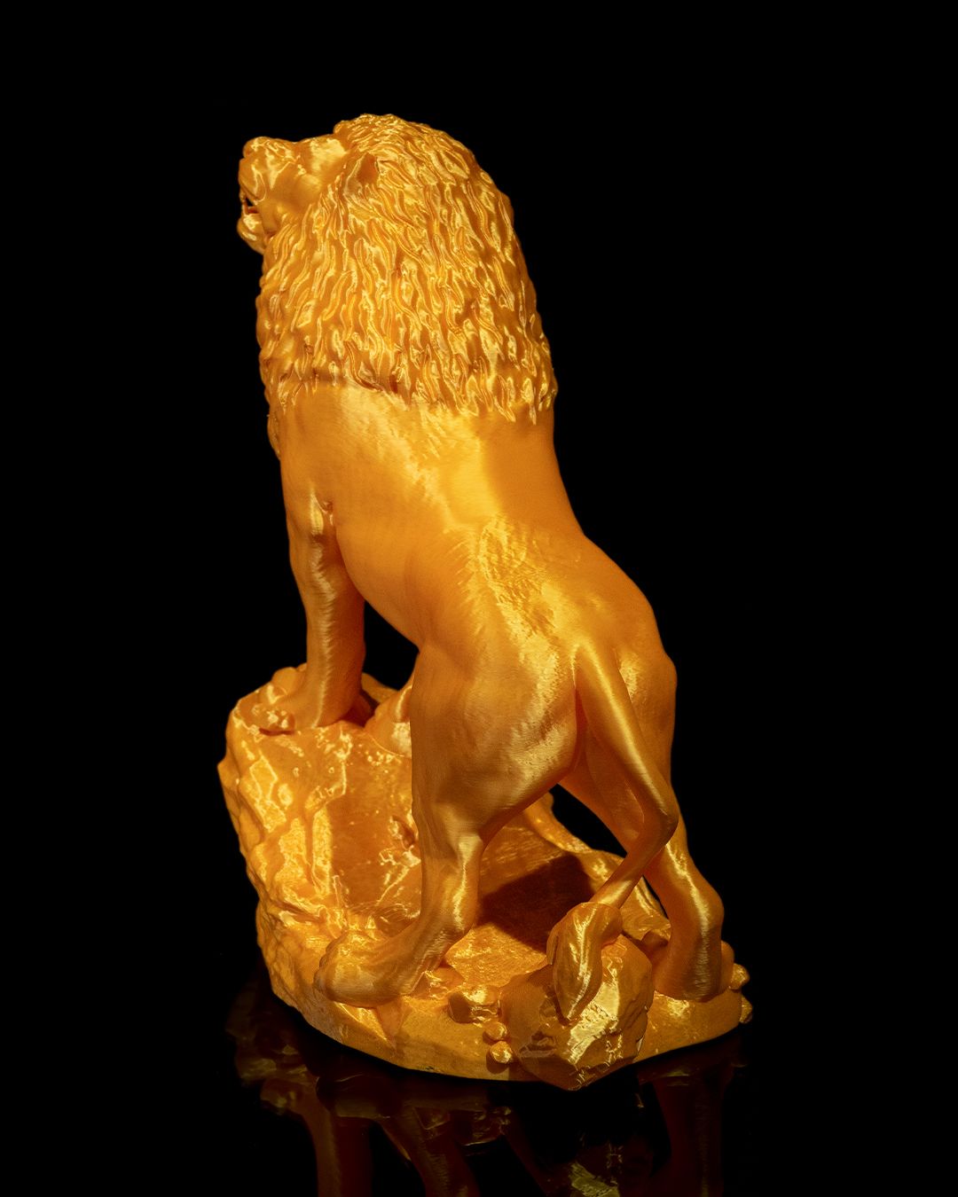 The Asiatic Lion