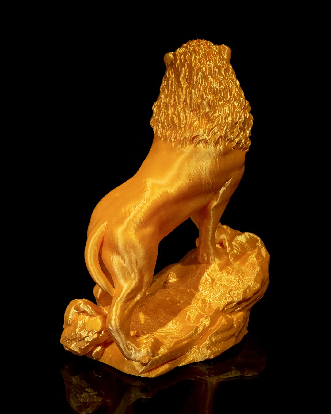 The Asiatic Lion