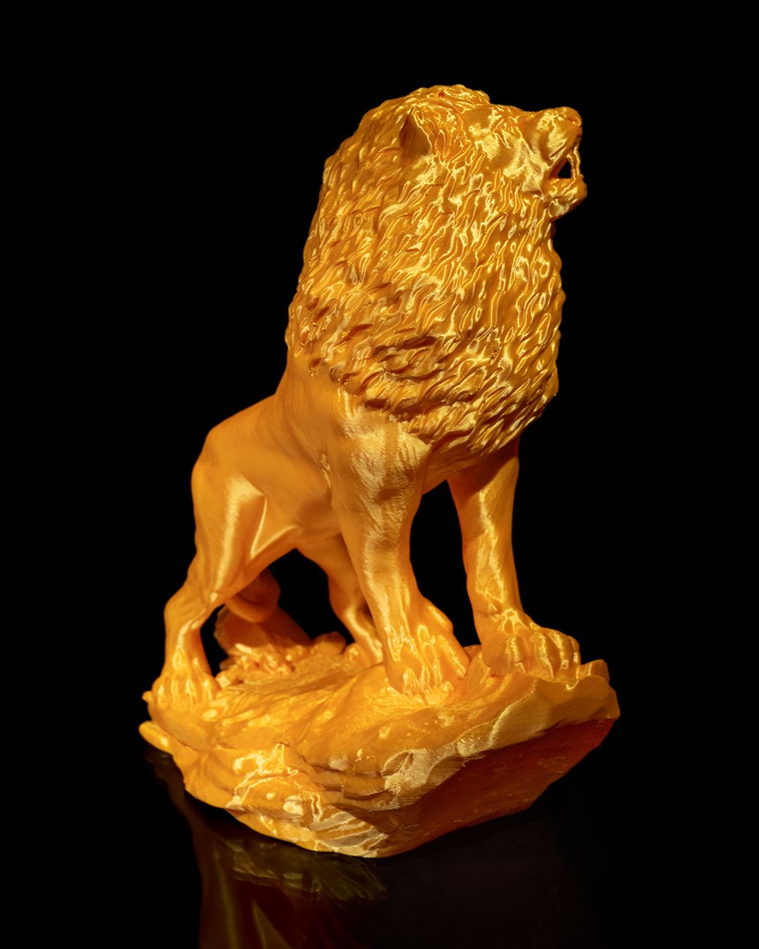 The Asiatic Lion