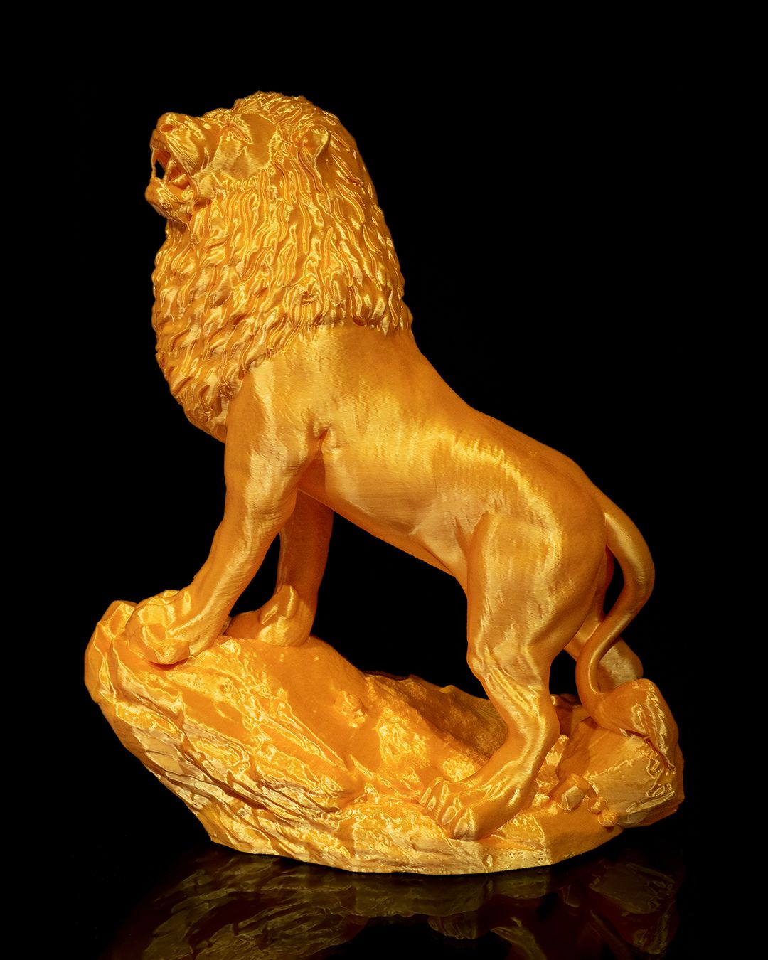 The Asiatic Lion