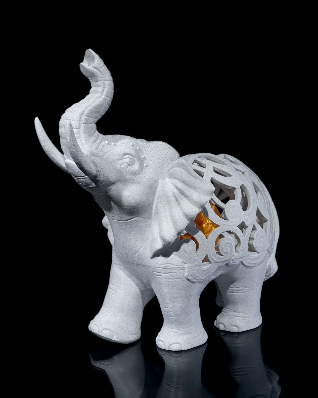 The Wisdom Inside Elephant