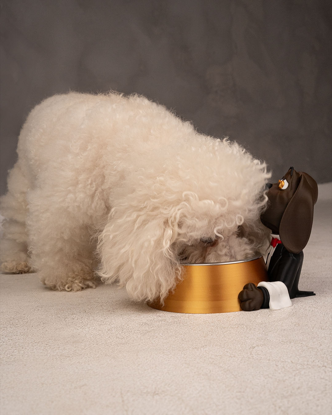 Stylish Pet Bowl Holders