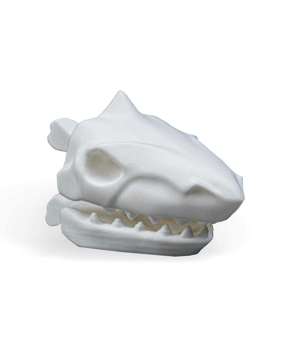 Prehistoric Skull Bag Clips - Alligator, Dinosaur & Shark
