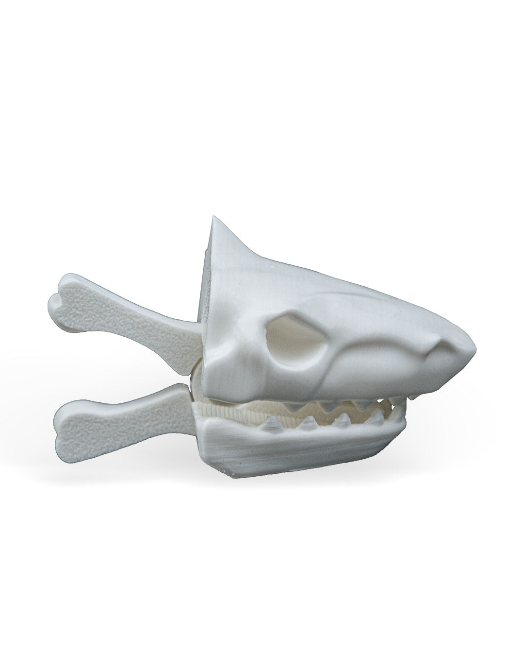 Prehistoric Skull Bag Clips - Alligator, Dinosaur & Shark