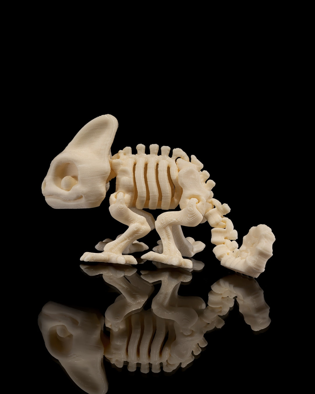 Articulating Skeleton Chameleon - Glow in the Dark!