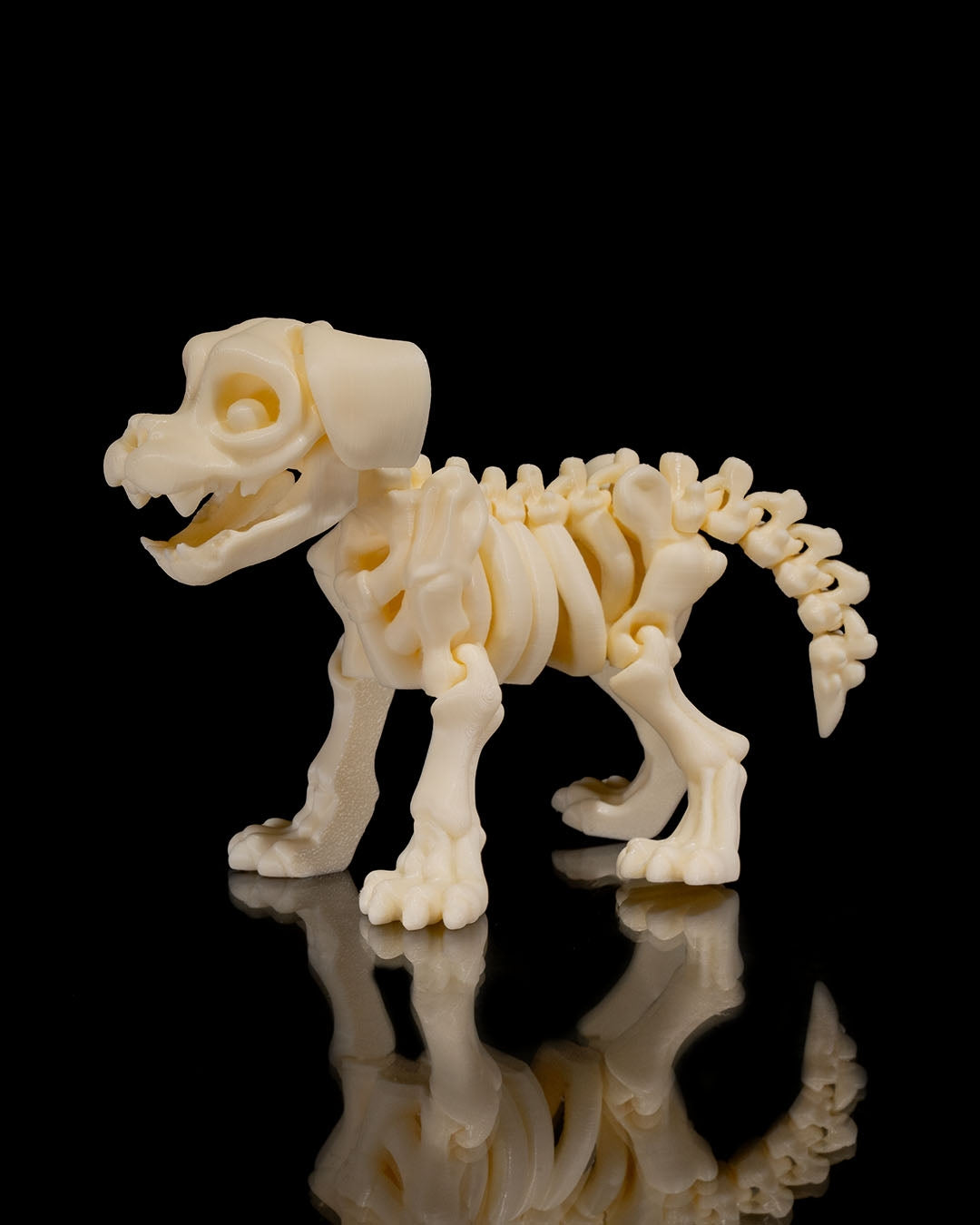 Articulating Skeleton Dog - Glow in the Dark!