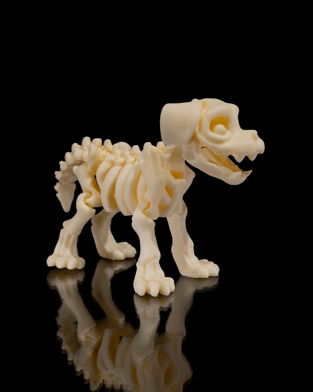 Articulating Skeleton Dog - Glow in the Dark!